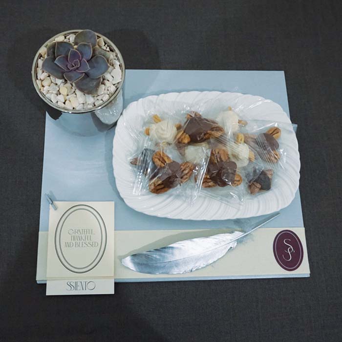 SUCULENTA CON TORTUGAS