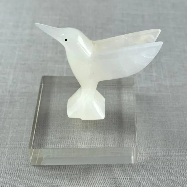 COLIBRÍ ÓNIX