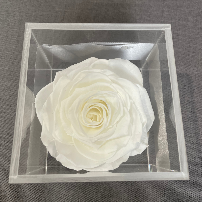 ROSAS BLANCAS PRESERVADAS EN CAJA DE ACRÍLICO - Imagen 2