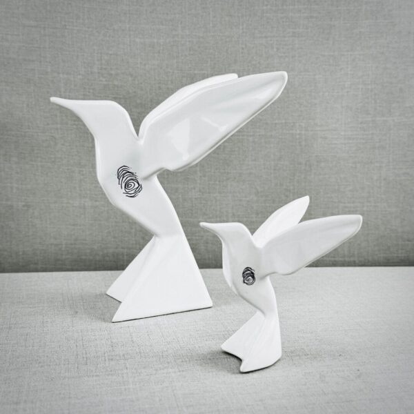 COLIBRI, ALVARO CUEVAS