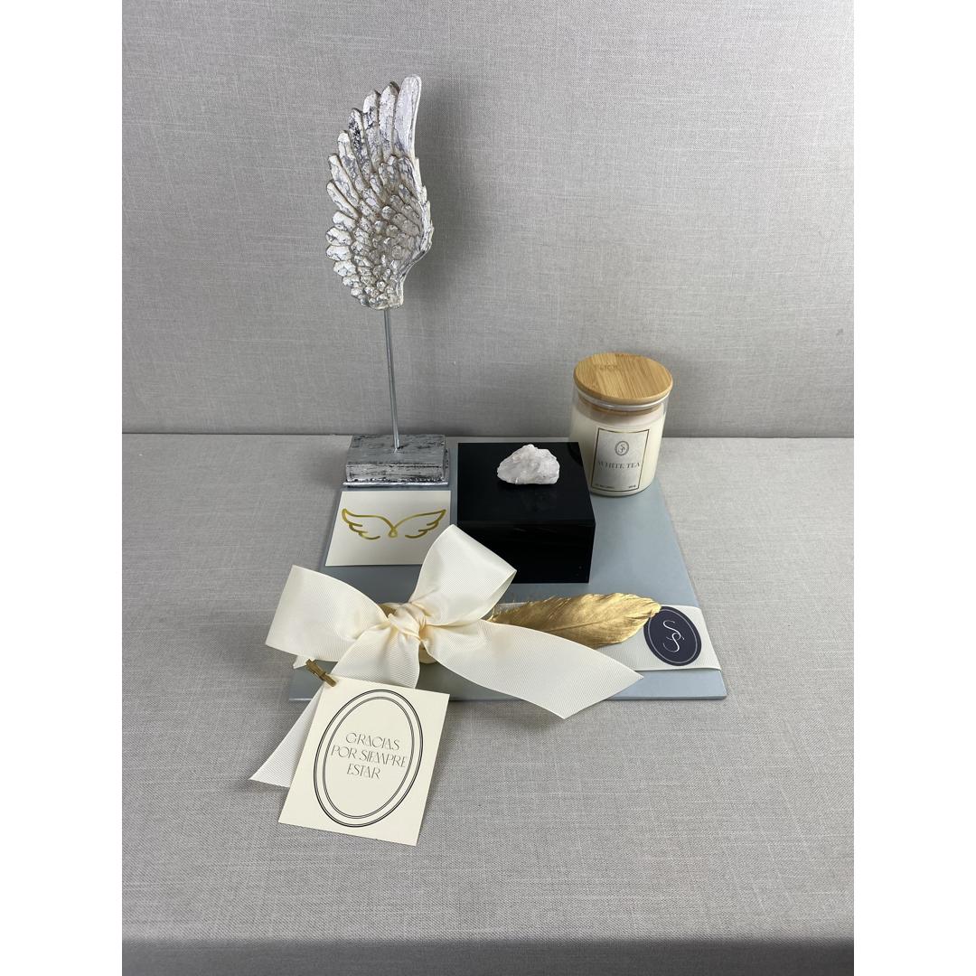 ALAS CON CAJA DE ACRÍLICO