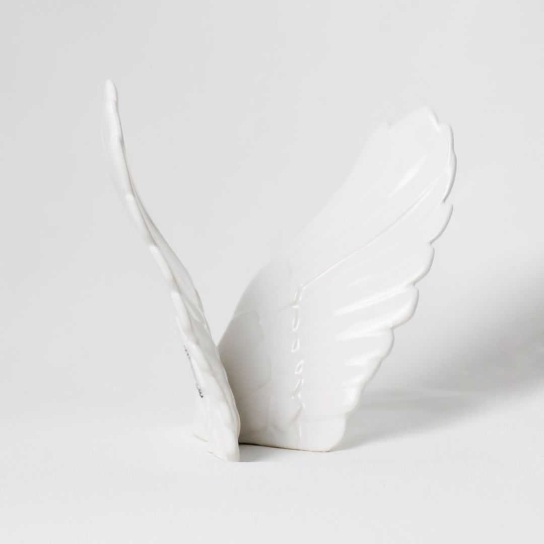 Alas-abrazos-del-cielo-detrás