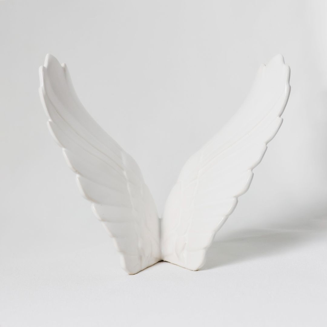 Alas-abrazos-del-cielo-de-atrás