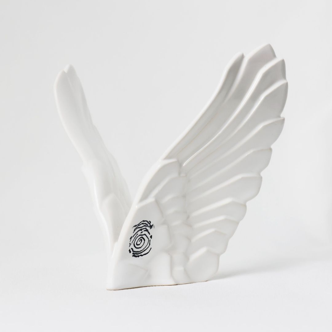 Alas-abrazos-del-cielo