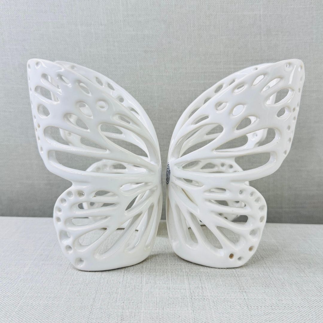 Mariposa-Abrazos-del-cielo-perforada-de-frente-