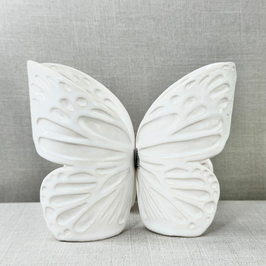 Mariposa-Abrazos-del-cielo-simple-de-frente